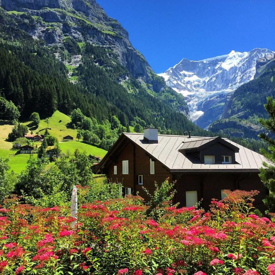 Апартаменты Chalet Pfingsteggblick Гриндельвальд Экстерьер фото